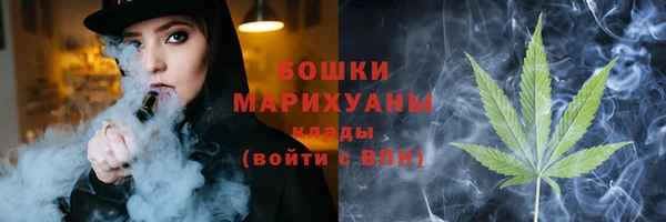 стаф Долгопрудный